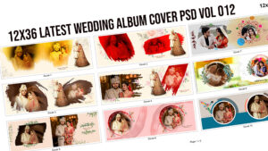 12x36 Latest Wedding Album Cover psd Vol 012– सिर्फ ₹59 में